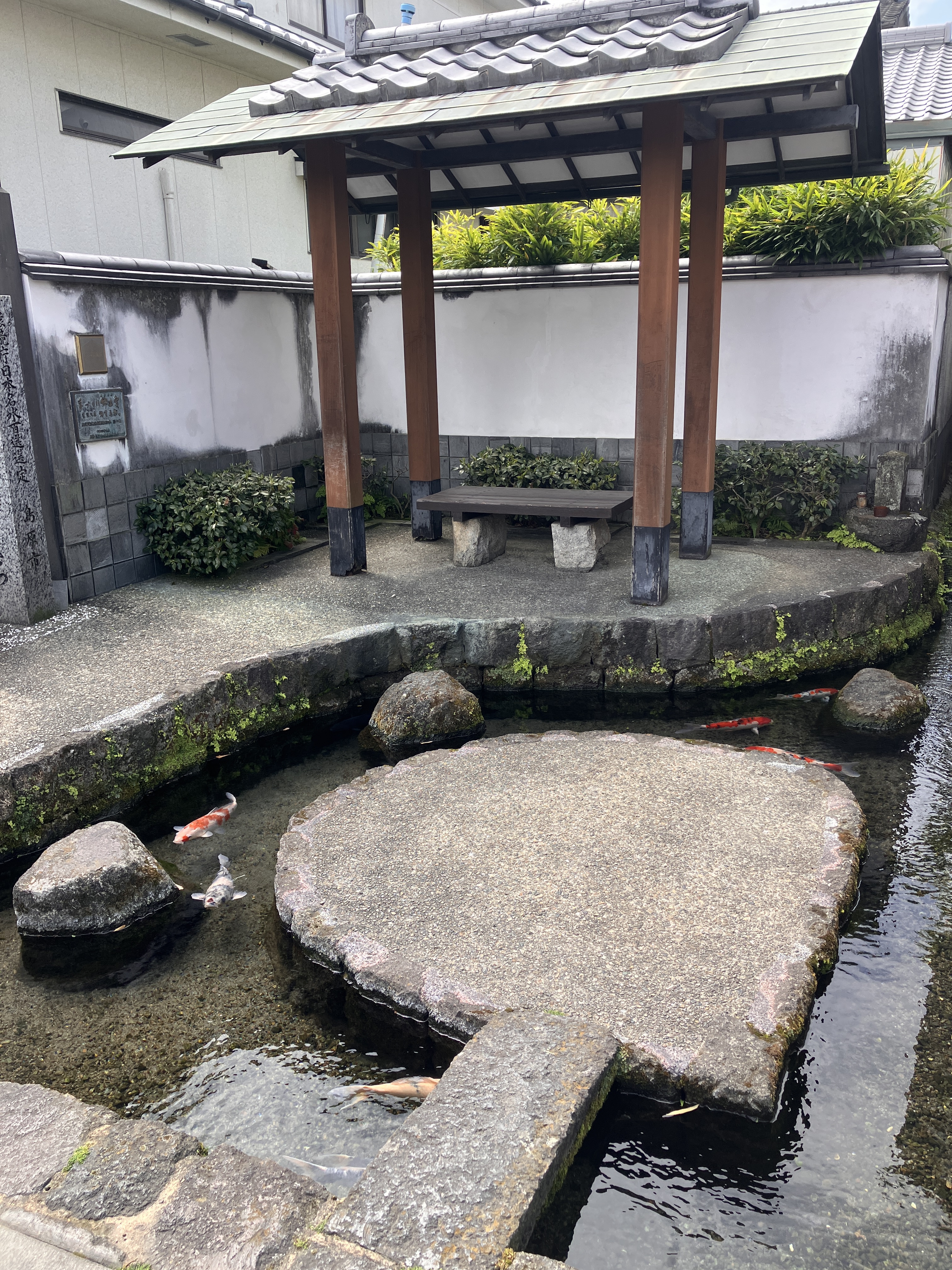 The blessings of volcanic activity: hot springs and public